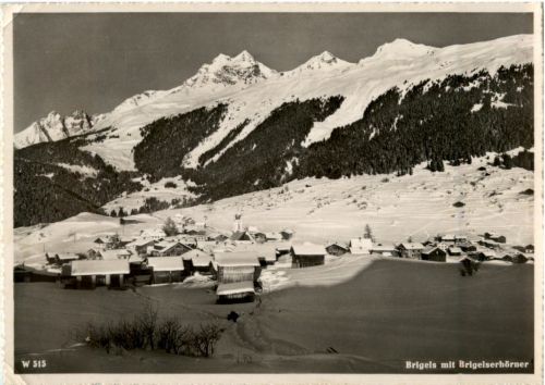 Brigels