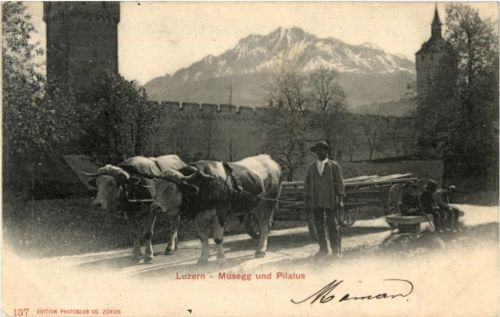 Luzern - Ochsenkarren