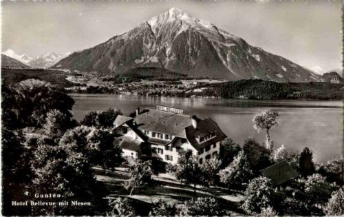 Gunten - Hotel Bellevue