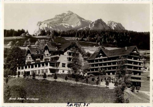 Wildhaus - Hotel Acker