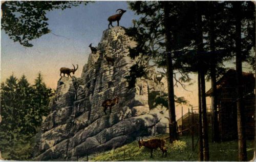 St. Gallen - Steinbockfelsen