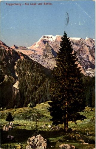 Toggenburg - Alp Laue