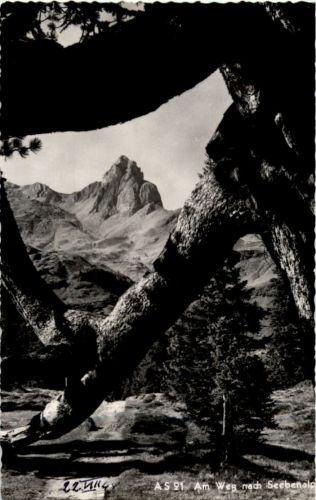 Am Weg nach Seebenalp