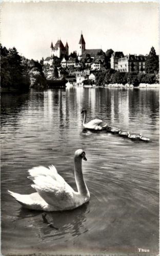 Thun