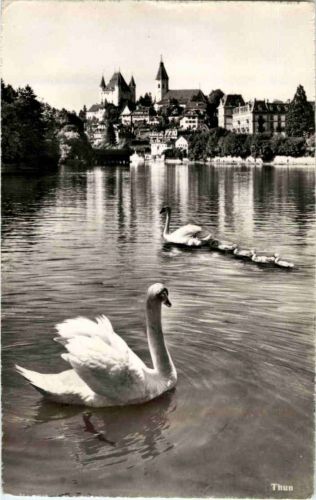 Thun