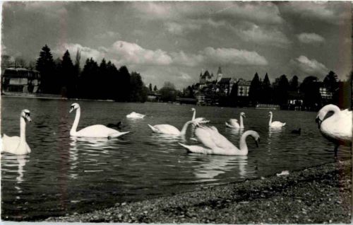 Thun