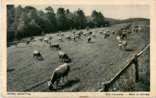 Eine Viehweide