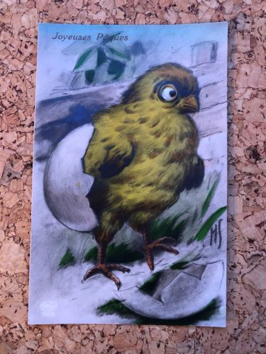 Vogel - bewegliche Augen - moving eyes