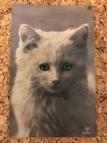 Katze - Plastikaugen