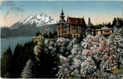 Weggis - Hotel Albana