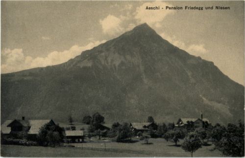 Aeschi - Pension Friedegg