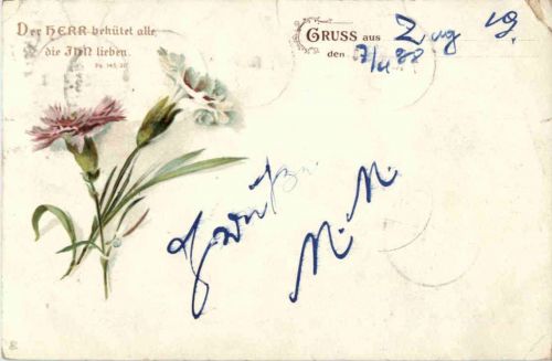 Gruss aus - Blumen Nelken