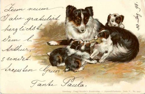 Hunde - Litho