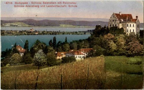 Schloss Salenstein mit Reichenau
