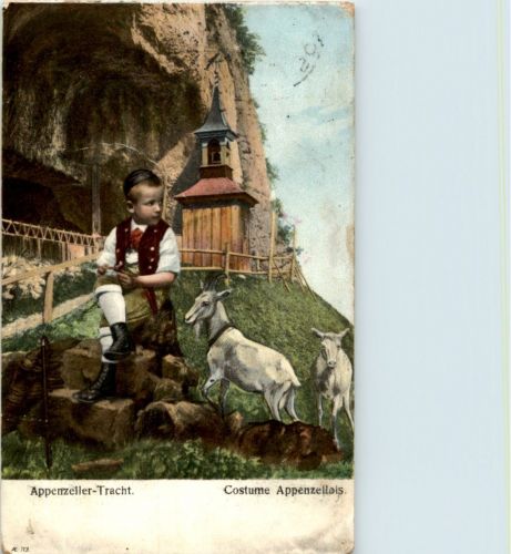 Appenzeller Trachten - Ziege Goat - Wildkirchli