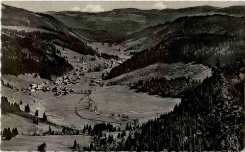 Menzenschwander Tal vom Feldberg
