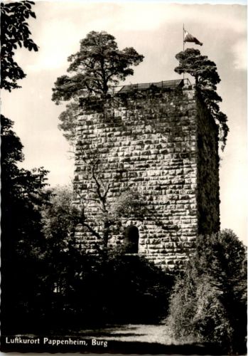 Pappenheim - Burg