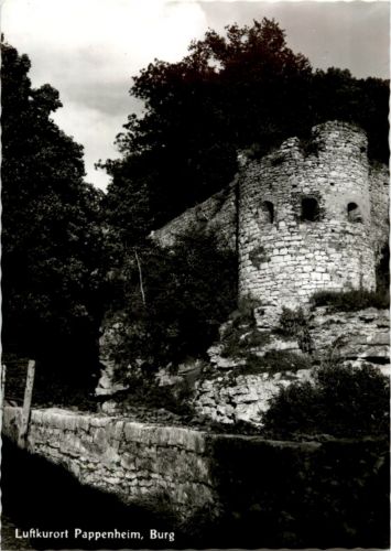 Pappenheim - Burg