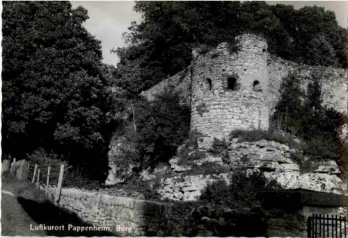 Pappenheim - Burg