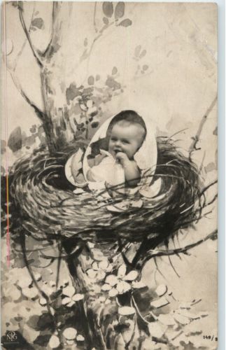Bagy im Nest