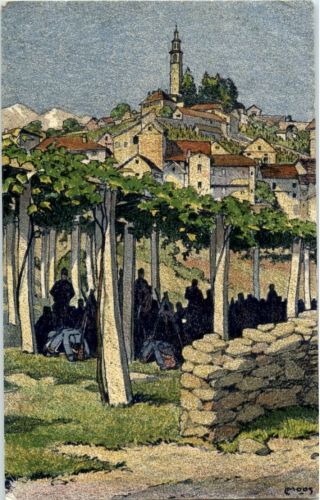Pergolato nel Ticino