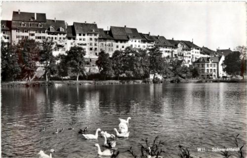 Wil - Schwanenteich