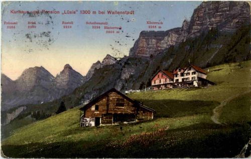 Wallenstadt - Kurhaus und Pension Lüsis