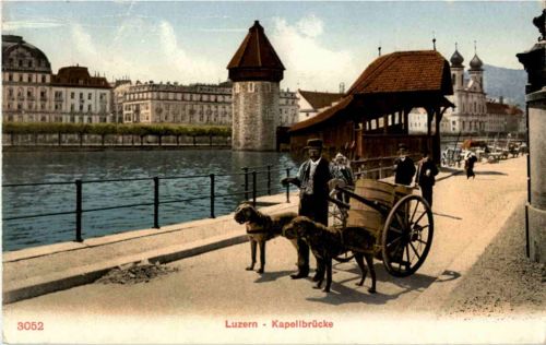Luzern - Hundekarren