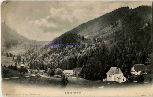Gänsbrunnen