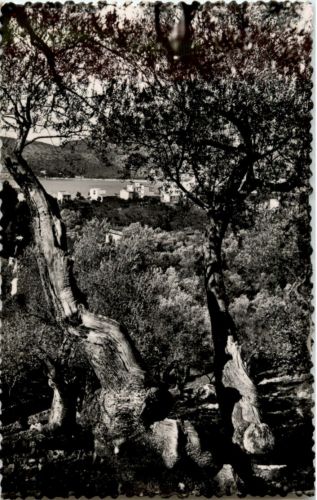 Palma de Mallorca - Puerto de Soller