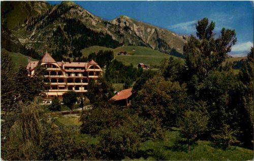 Chateau d Oex - La Soldanelle