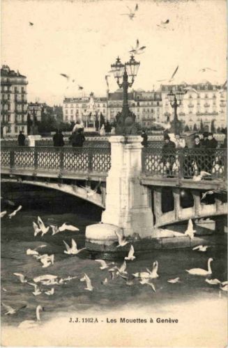 Les Mouettes a Geneve