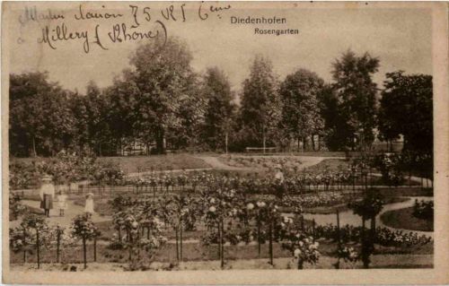 Diedenhofen - Rosengarten