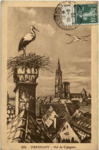Strasbourg - Nid de Cigognes
