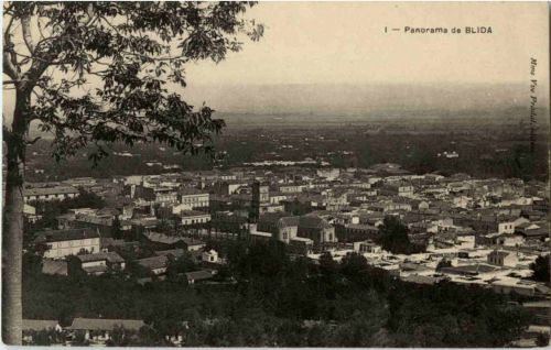Panorama de Blida