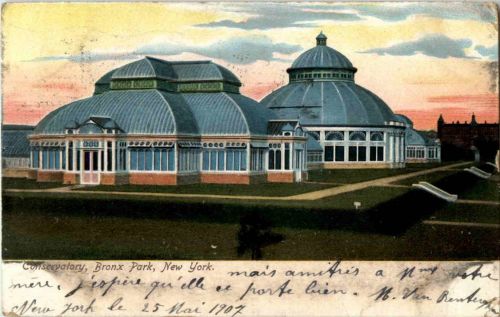 New York - Bronx Park