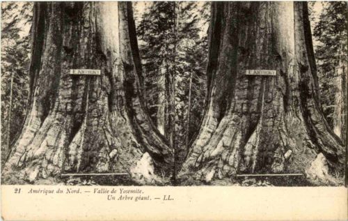 Yosemite - Stereo Card
