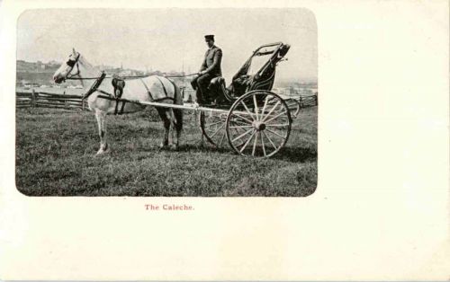 The Caleche - Kutsche