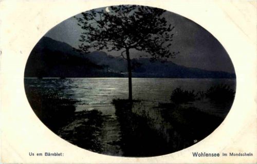 Wohlensee im Mondschein