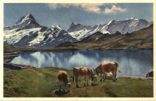 Grindelwald - Bachsee