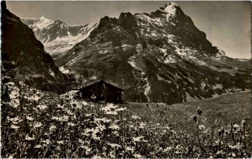 Grindelwald