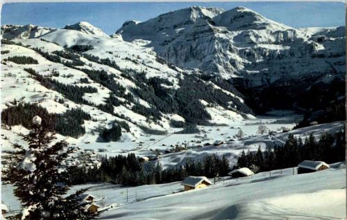 Lenk