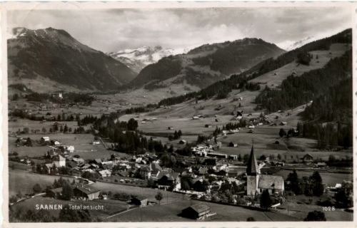 Saanen