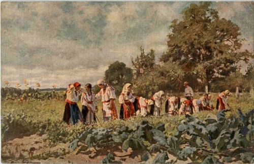 A. Makovsky