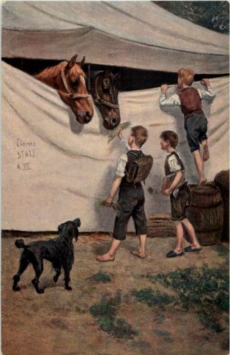 Circus Stall