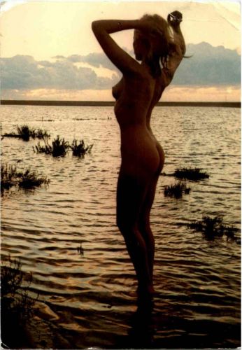 Nu au soleil couchant