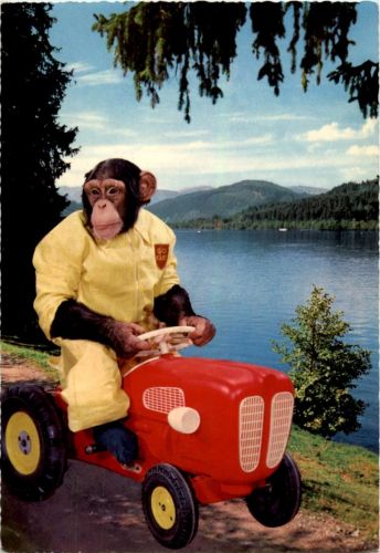 Affe auf Traktor