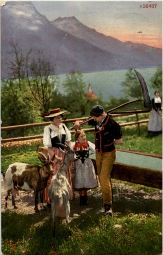 Alm - Ziege Goat