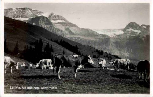 Lenk - Am Bühlberg