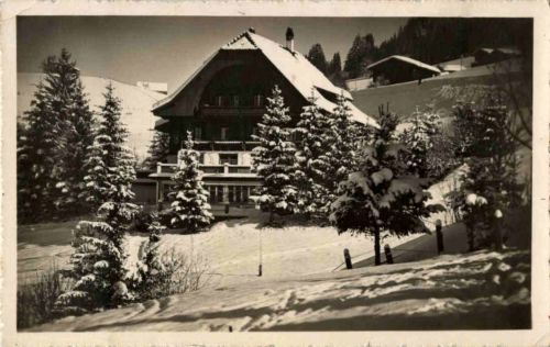 Gstaad - Hotel Alpenblick